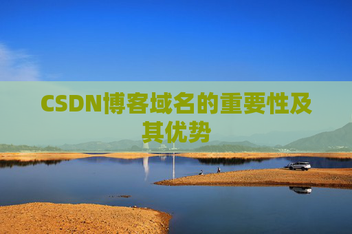 CSDN博客域名的重要性及其优势